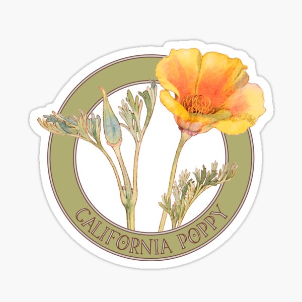 California Poppy Sticker