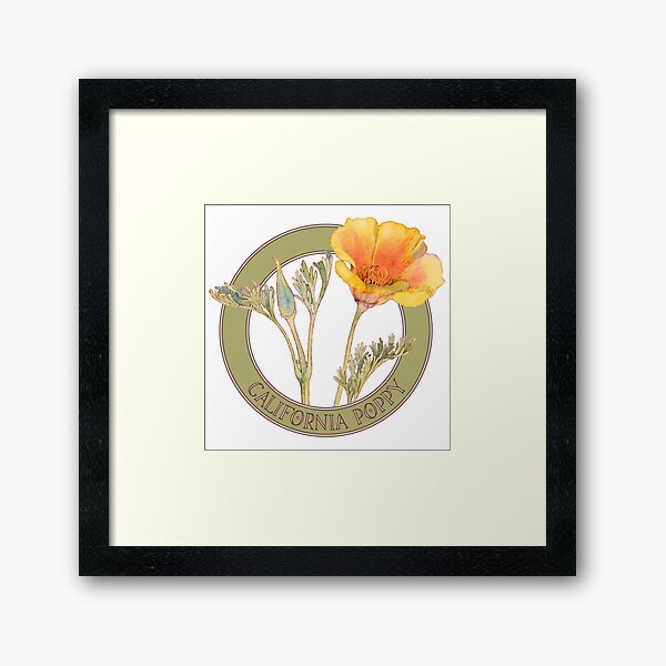 California Poppy Framed Art Print