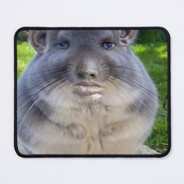 Item preview, Chinchilla with face meme designed and sold by AuraCraftStudio.