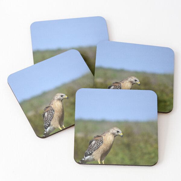 Item preview, Red-Shouldered Hawk designed and sold by MercerImages.