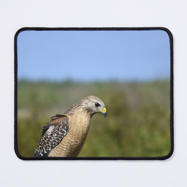 Item preview, Red-Shouldered Hawk designed and sold by MercerImages.