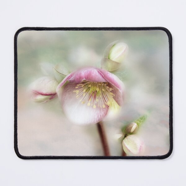 Item preview, Dreamy Helleborus designed and sold by Tanya C Smith.