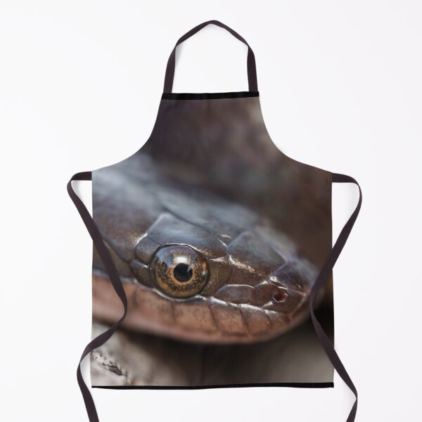 Item preview, Brown Water Snake (Lycodonomorphus rufulus) designed and sold by Pixel Press Prints.