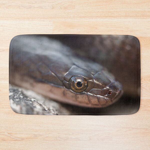 Item preview, Brown Water Snake (Lycodonomorphus rufulus) designed and sold by Pixel Press Prints.