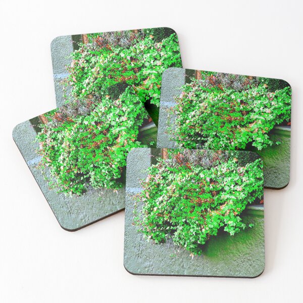 Item preview, Window Box designed and sold by ontological.