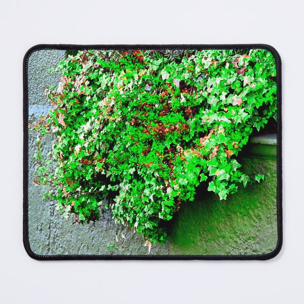 Item preview, Window Box designed and sold by ontological.