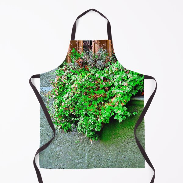Item preview, Window Box designed and sold by ontological.