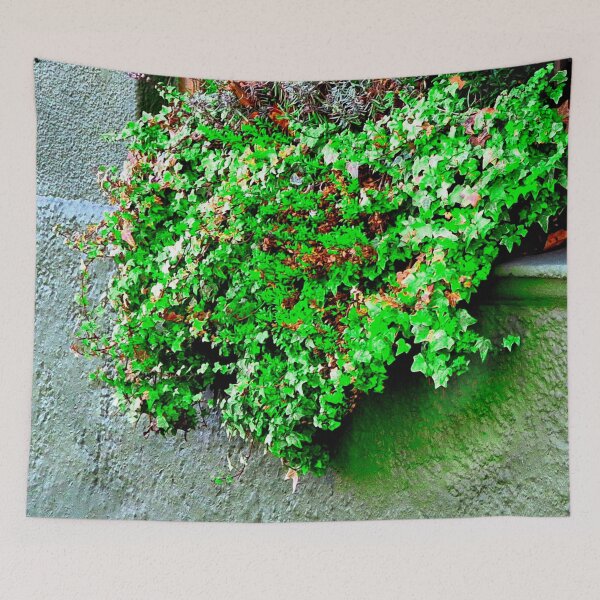 Item preview, Window Box designed and sold by ontological.