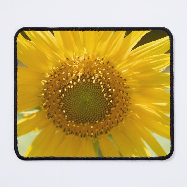 Item preview, Beautiful Sunflower in My Backyard designed and sold by Geoff Treagus.