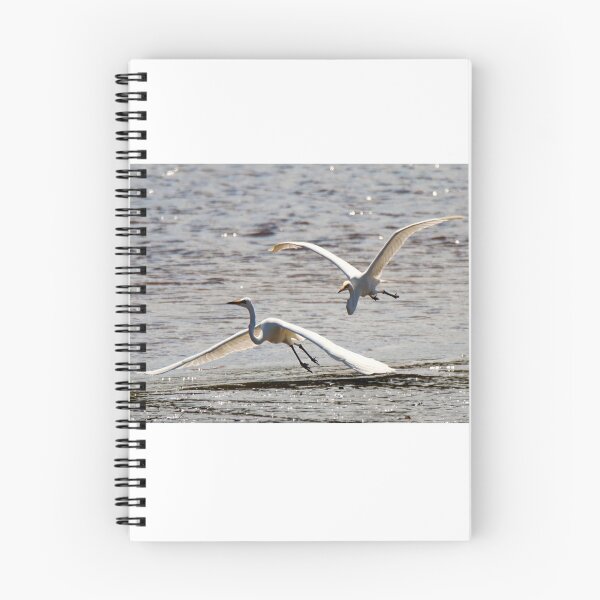 Item preview, Egrets in flight designed and sold by BirdsAlive.