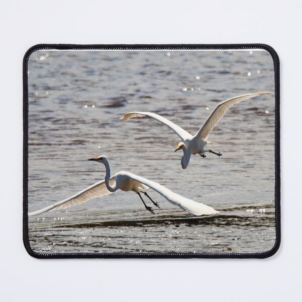 Item preview, Egrets in flight designed and sold by BirdsAlive.