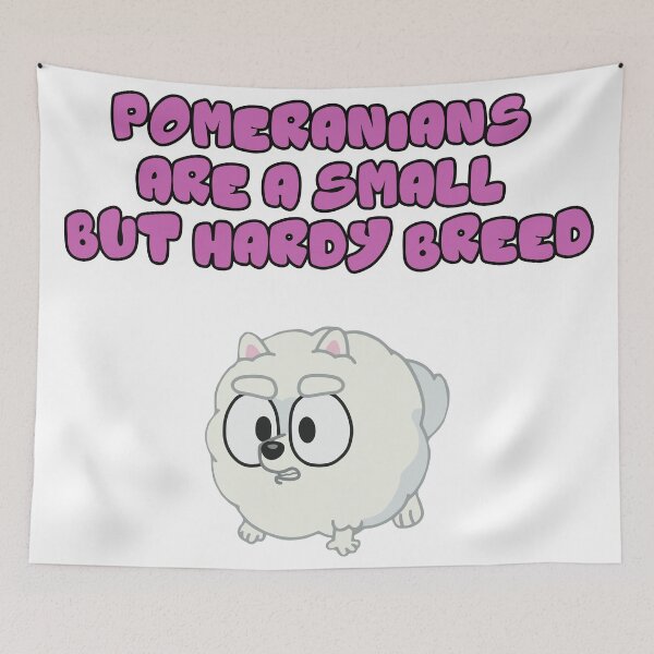 Item preview, Pomeranians Are A Small But Hardy Breed designed and sold by Sherinpaff.