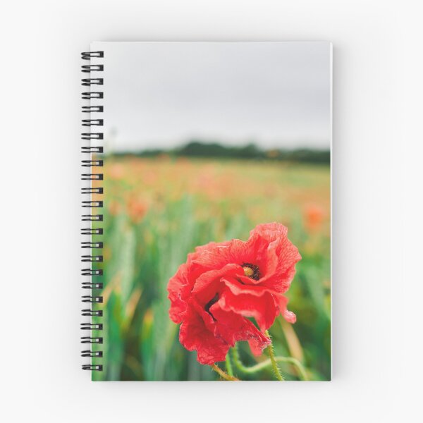 Item preview, Field of Poppies, Ireland designed and sold by Marcin W Photography.