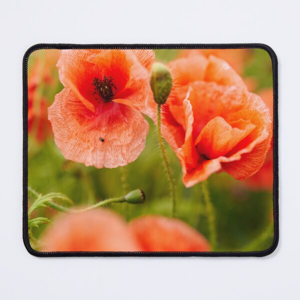 Item preview, Field of Wild Poppies, Ireland designed and sold by Marcin W Photography.
