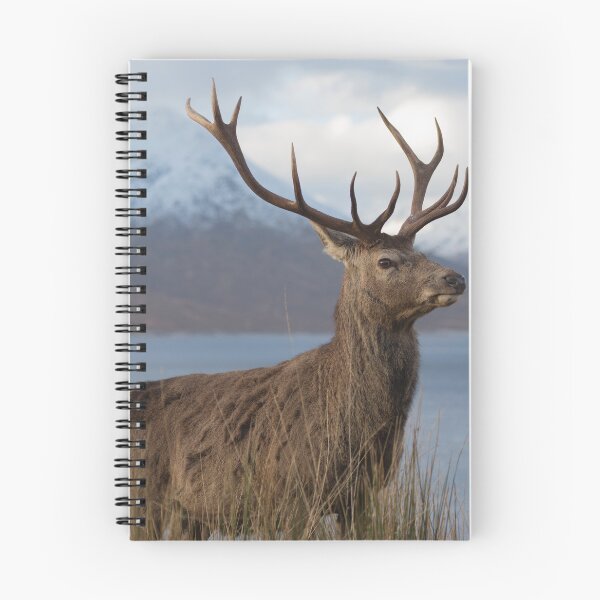 Item preview, Red Deer Stag in Winter designed and sold by derekbeattie.