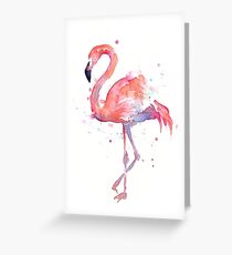 Pink Flamingo Watercolor Illustration Greeting Card