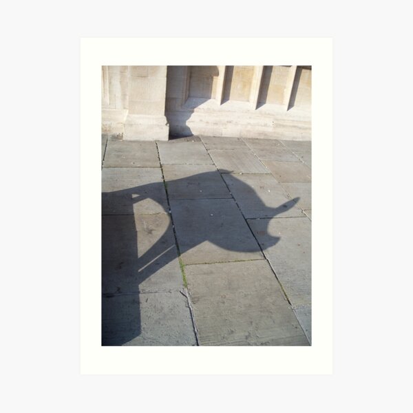 Pig Shadow Art Print