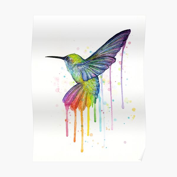 Hummingbird Watercolor Rainbow Poster