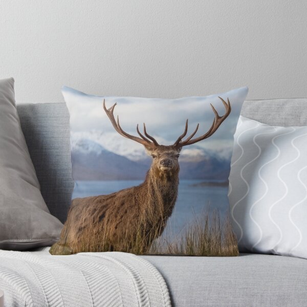 Item preview, Royal Red Deer Stag in Winter designed and sold by derekbeattie.