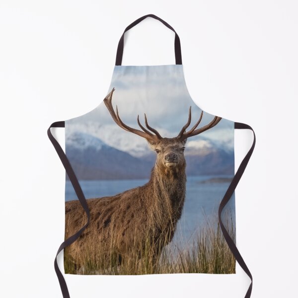 Item preview, Royal Red Deer Stag in Winter designed and sold by derekbeattie.
