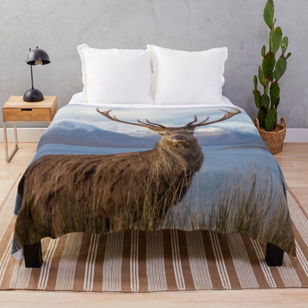 Item preview, Royal Red Deer Stag in Winter designed and sold by derekbeattie.
