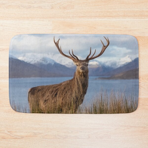 Item preview, Royal Red Deer Stag in Winter designed and sold by derekbeattie.