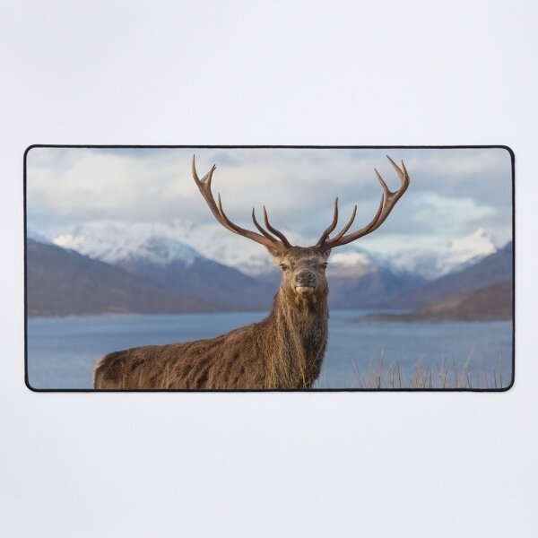 Item preview, Royal Red Deer Stag in Winter designed and sold by derekbeattie.