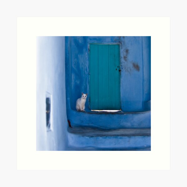 Waiting White Cat Art Print
