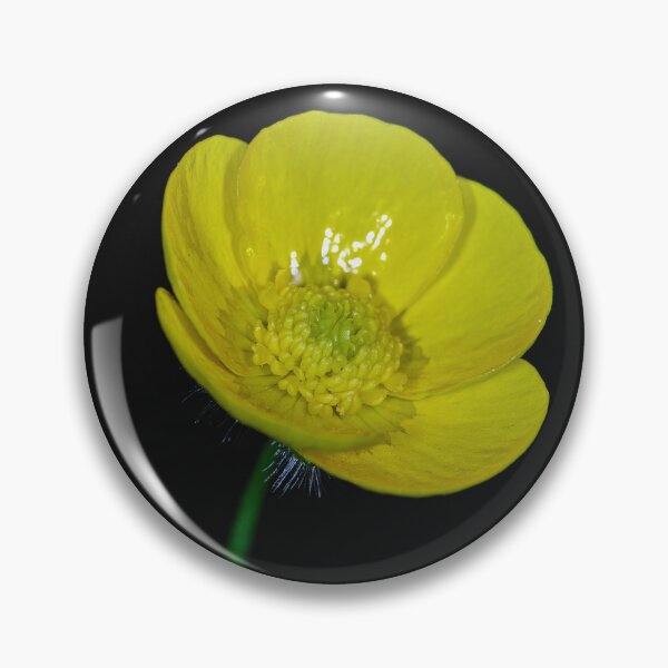 Item preview, Buttercup Macro designed and sold by Tom McPherson Photography.