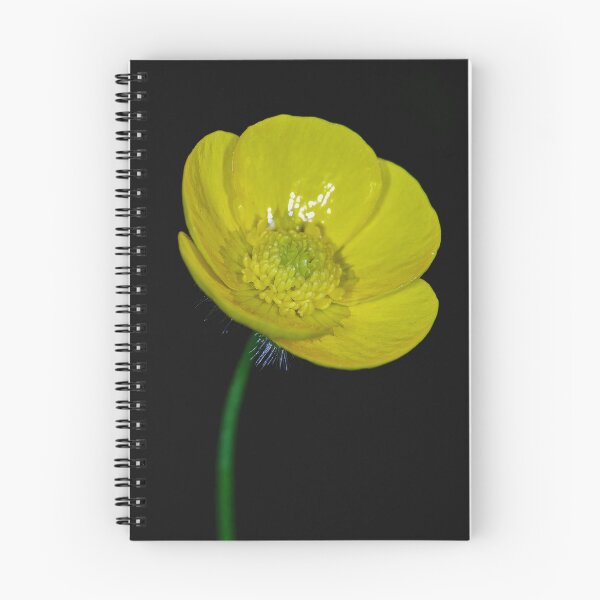 Item preview, Buttercup Macro designed and sold by Tom McPherson Photography.