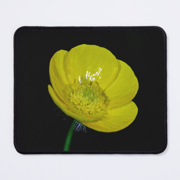 Item preview, Buttercup Macro designed and sold by Tom McPherson Photography.