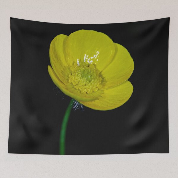 Item preview, Buttercup Macro designed and sold by Tom McPherson Photography.