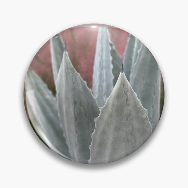 Item preview, big succulent one designed and sold by Easley-Does-It.