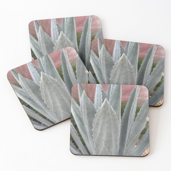 Item preview, big succulent one designed and sold by Easley-Does-It.