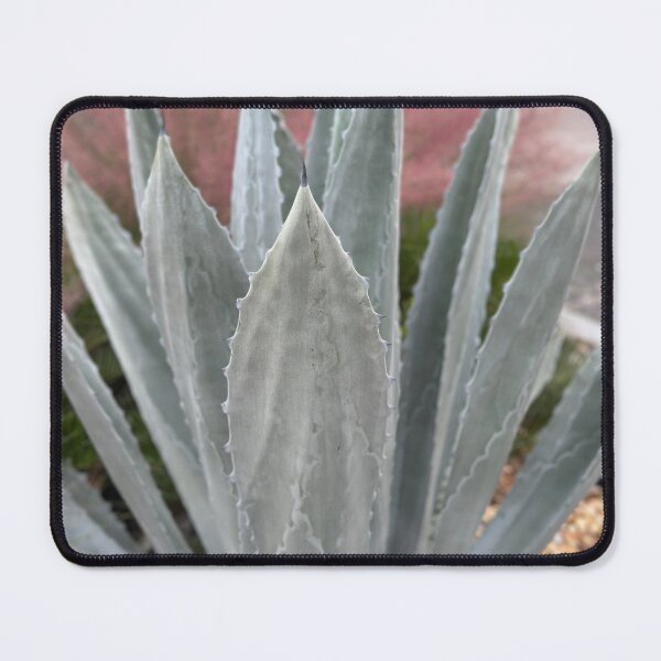 Item preview, big succulent one designed and sold by Easley-Does-It.