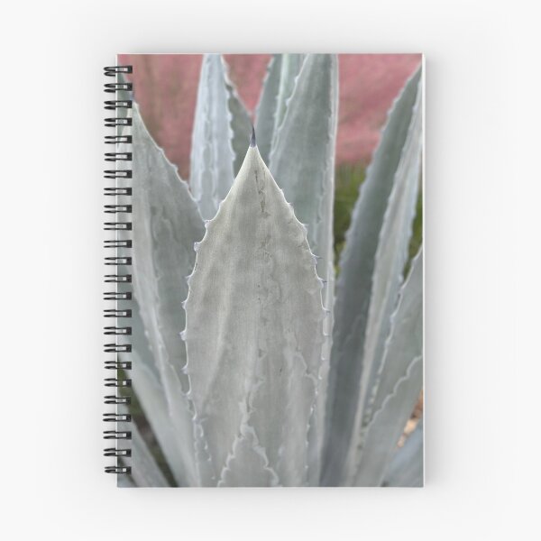 Item preview, big succulent one designed and sold by Easley-Does-It.