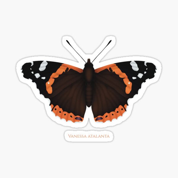 Item preview, Red admiral designed and sold by swiatek.