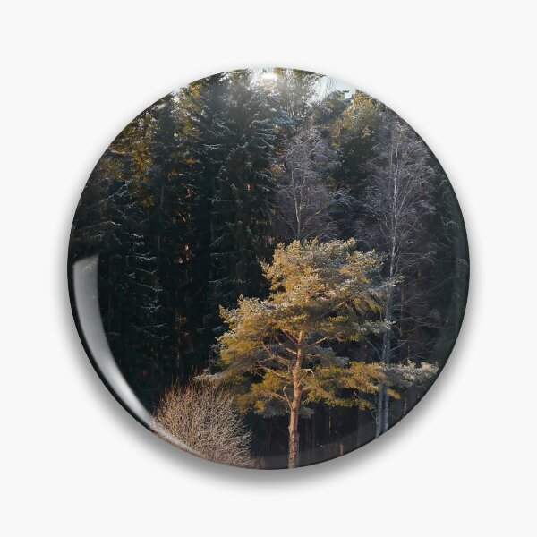 Item preview, The pine in the sun designed and sold by Jouko Lehto Photography.