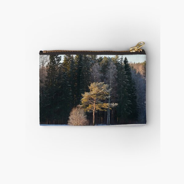 Artikelvorschau, Die Kiefer in der Sonne entworfen und verkauft von Jouko Lehto Photography.