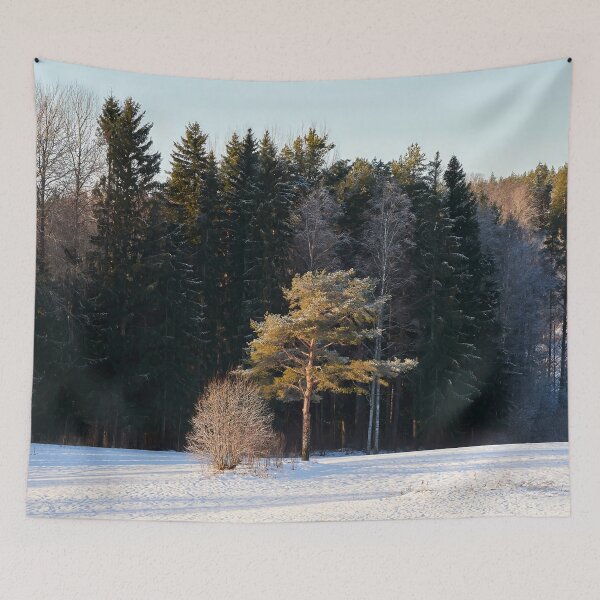 Item preview, The pine in the sun designed and sold by Jouko Lehto Photography.