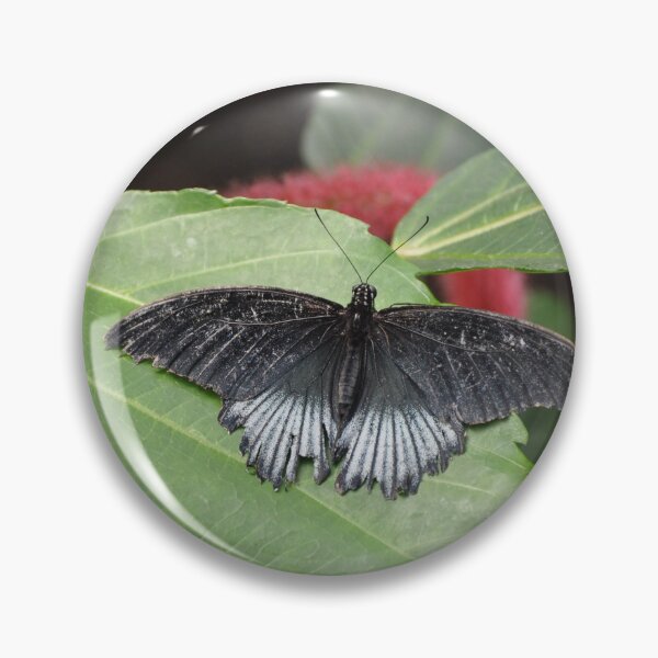 Item preview, Scarlet Mormon designed and sold by peepersbasement.