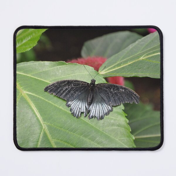 Item preview, Scarlet Mormon designed and sold by peepersbasement.