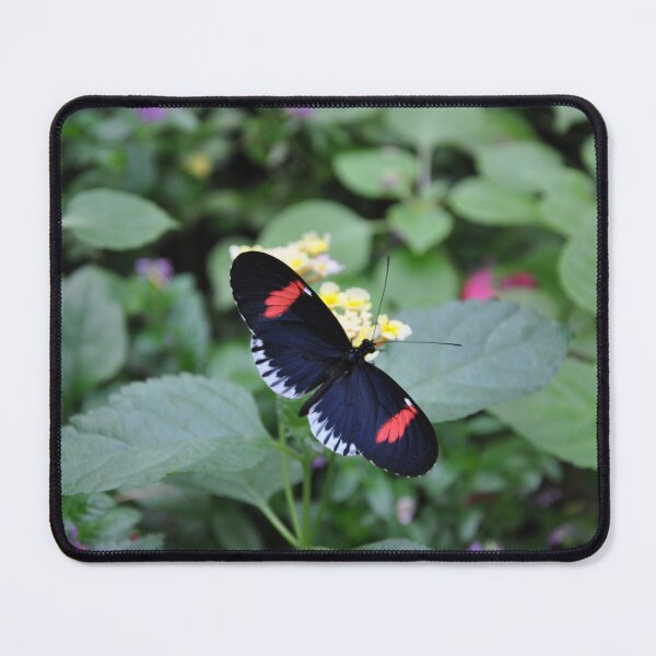 Item preview, Piano Key designed and sold by peepersbasement.