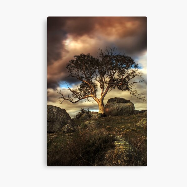 Item preview, Lonely designed and sold by Raquel O'Neill.