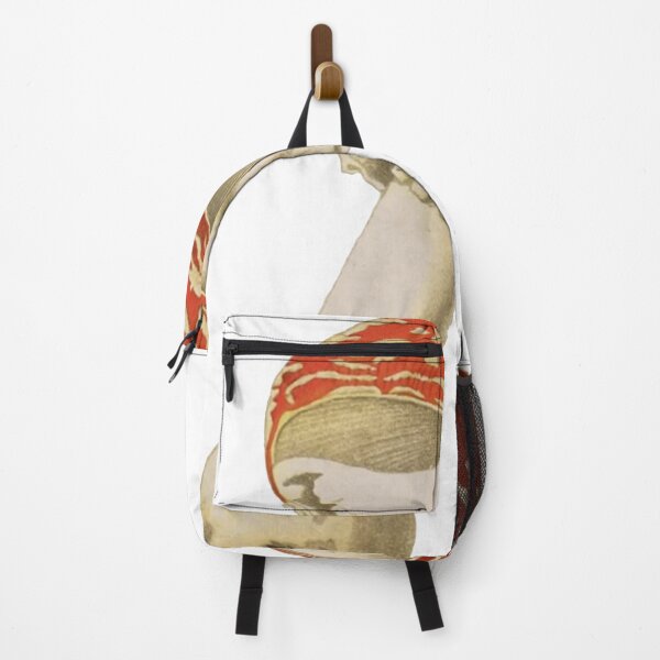 Item preview, Vintage Mushroom Illustration, Fly Agaric designed and sold by HawthorneFlame.
