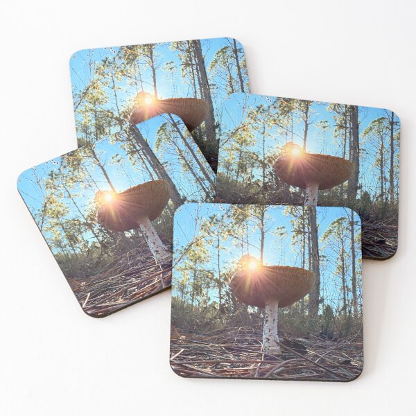 Item preview, Dusk of the Fungi designed and sold by XXX Zombieboy XXX.