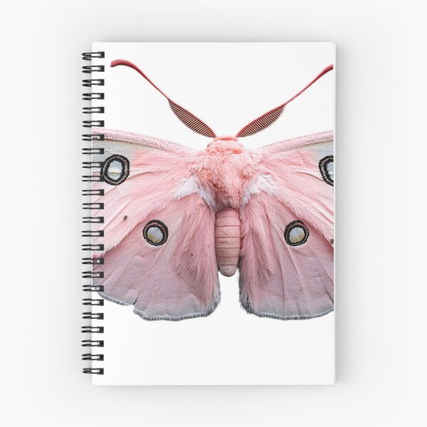 Item preview, Pink Moth designed and sold by NomadicDreamer.