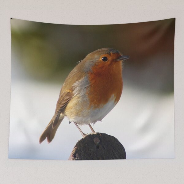 Item preview, Robin on a garden fencepost designed and sold by MartinPhotos.