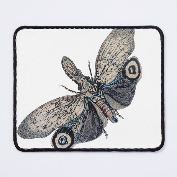 Item preview, Fulgora Bug Illustration, Entomology designed and sold by HawthorneFlame.