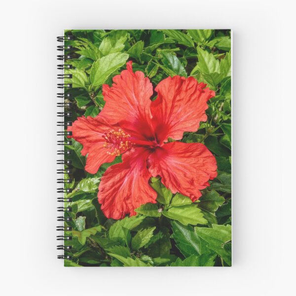 Item preview, Red and Green  designed and sold by Lanis Rossi.
